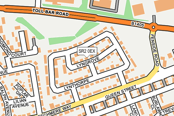 SR2 0EX map - OS OpenMap – Local (Ordnance Survey)