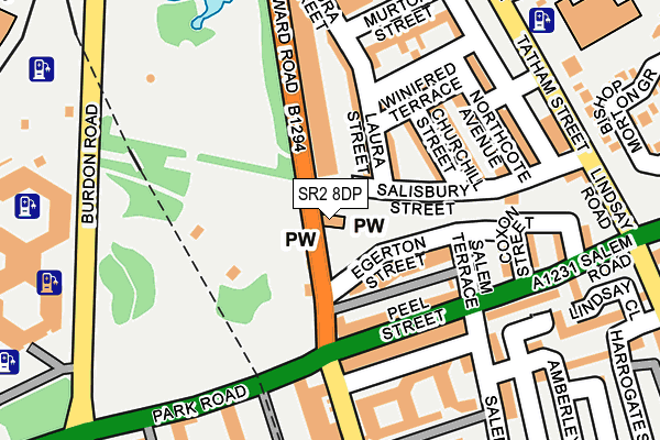 SR2 8DP map - OS OpenMap – Local (Ordnance Survey)