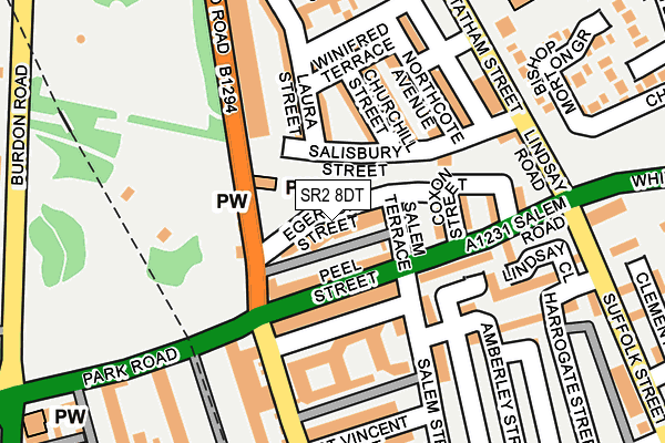 SR2 8DT map - OS OpenMap – Local (Ordnance Survey)
