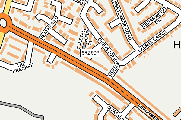 SR2 9DP map - OS OpenMap – Local (Ordnance Survey)