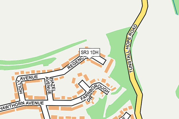 SR3 1DH map - OS OpenMap – Local (Ordnance Survey)