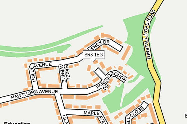 SR3 1EG map - OS OpenMap – Local (Ordnance Survey)