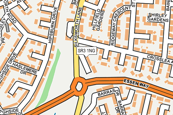 SR3 1NG map - OS OpenMap – Local (Ordnance Survey)