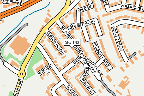 SR3 1NS map - OS OpenMap – Local (Ordnance Survey)