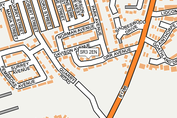 SR3 2EN map - OS OpenMap – Local (Ordnance Survey)