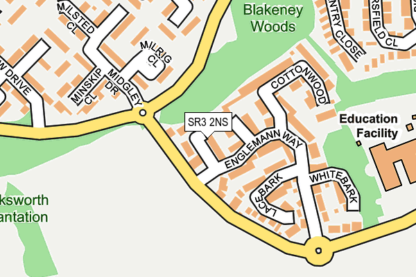 SR3 2NS map - OS OpenMap – Local (Ordnance Survey)