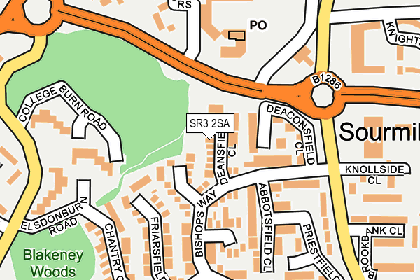 SR3 2SA map - OS OpenMap – Local (Ordnance Survey)