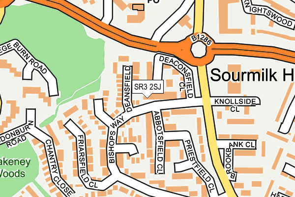 SR3 2SJ map - OS OpenMap – Local (Ordnance Survey)