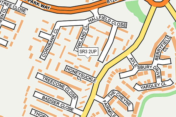 SR3 2UP map - OS OpenMap – Local (Ordnance Survey)