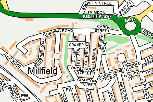 SR4 6BP map - OS OpenMap – Local (Ordnance Survey)