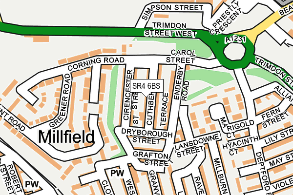 SR4 6BS map - OS OpenMap – Local (Ordnance Survey)