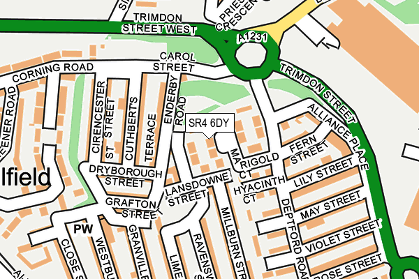 SR4 6DY map - OS OpenMap – Local (Ordnance Survey)