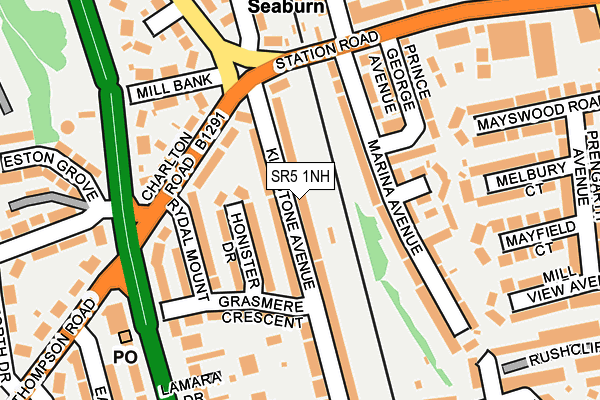 SR5 1NH map - OS OpenMap – Local (Ordnance Survey)