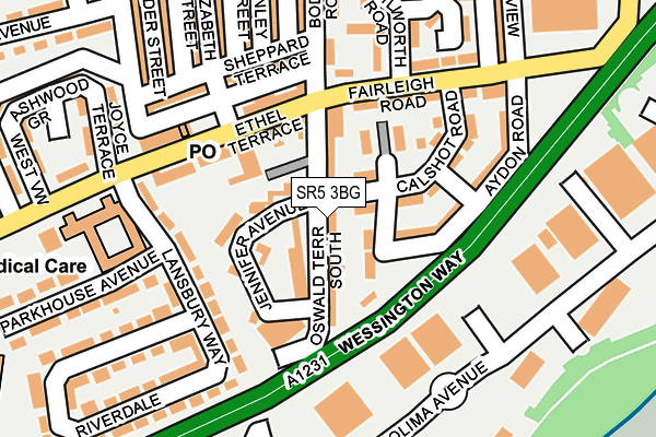 SR5 3BG map - OS OpenMap – Local (Ordnance Survey)