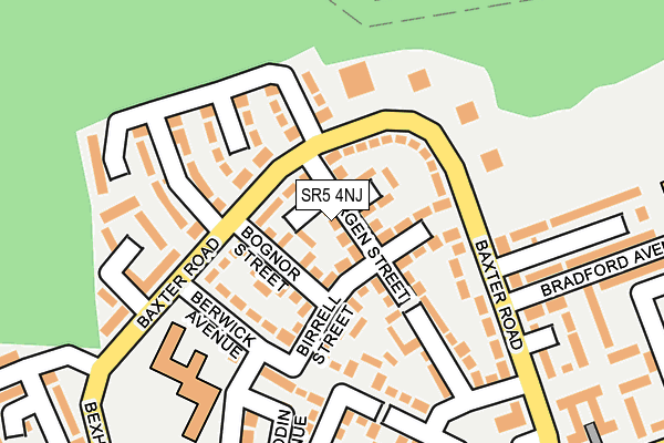 SR5 4NJ map - OS OpenMap – Local (Ordnance Survey)