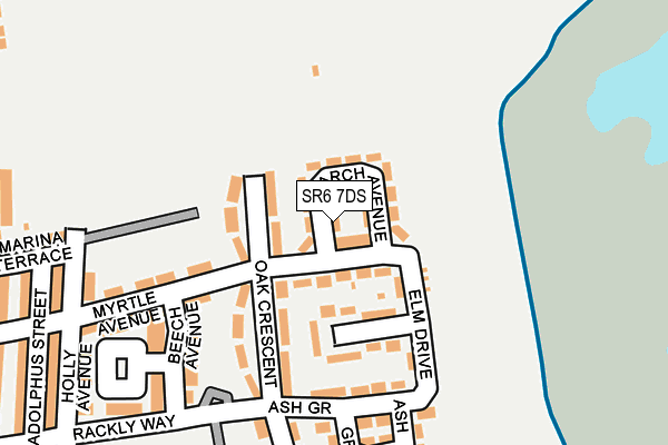 SR6 7DS map - OS OpenMap – Local (Ordnance Survey)