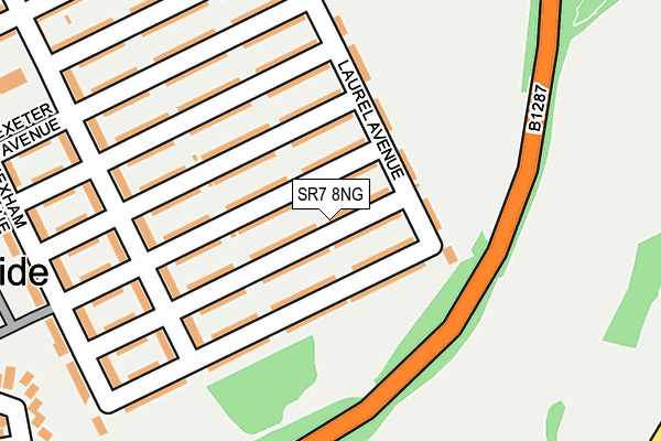 SR7 8NG map - OS OpenMap – Local (Ordnance Survey)