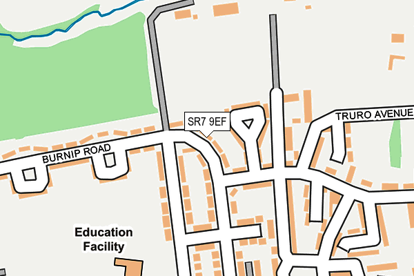 SR7 9EF map - OS OpenMap – Local (Ordnance Survey)