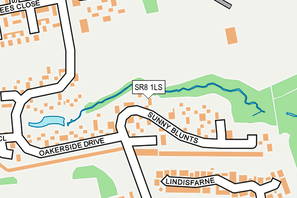 SR8 1LS map - OS OpenMap – Local (Ordnance Survey)