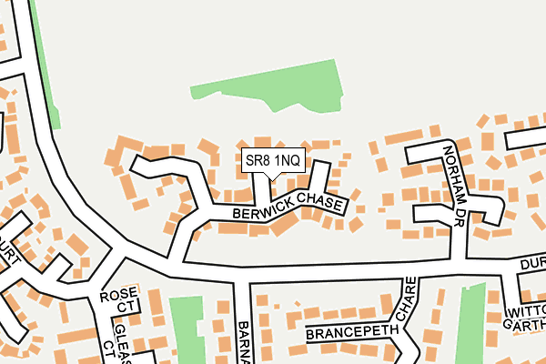 SR8 1NQ map - OS OpenMap – Local (Ordnance Survey)