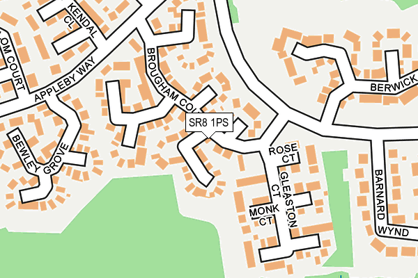 SR8 1PS map - OS OpenMap – Local (Ordnance Survey)