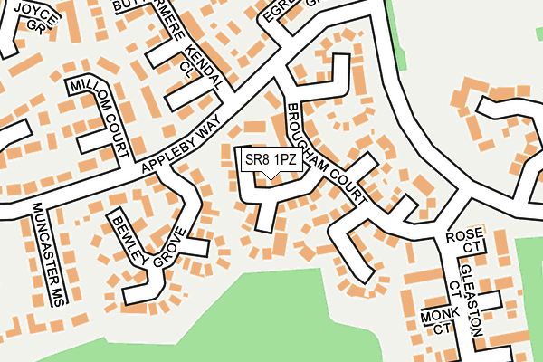 SR8 1PZ map - OS OpenMap – Local (Ordnance Survey)
