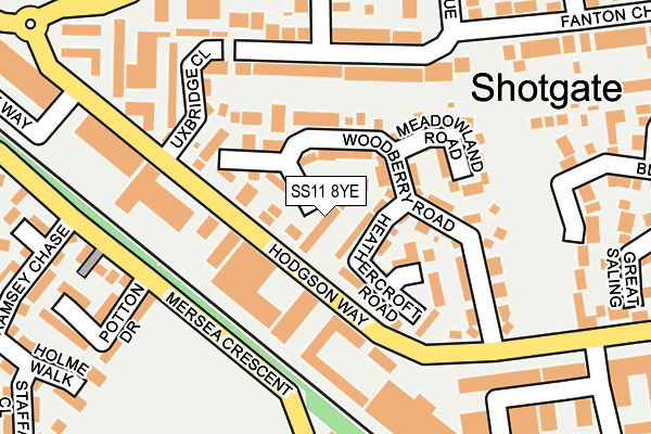 SS11 8YE map - OS OpenMap – Local (Ordnance Survey)
