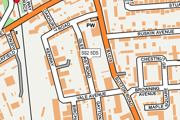 SS2 5DS map - OS OpenMap – Local (Ordnance Survey)