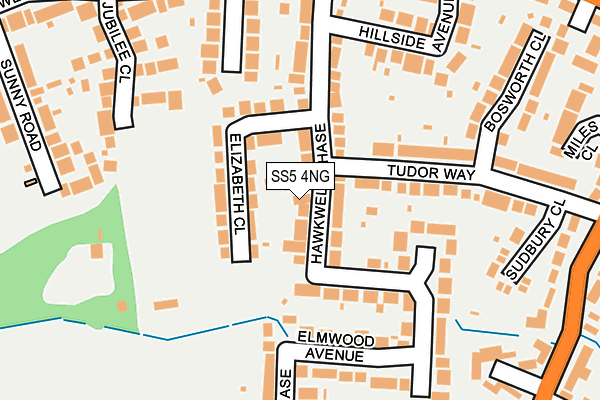 SS5 4NG map - OS OpenMap – Local (Ordnance Survey)