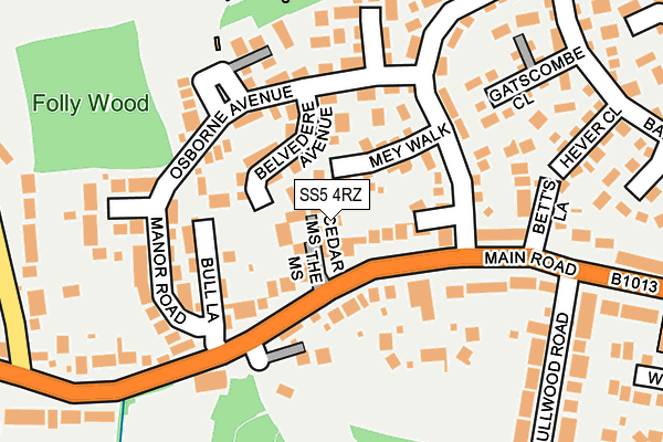 SS5 4RZ map - OS OpenMap – Local (Ordnance Survey)