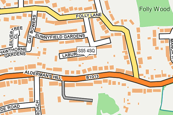 SS5 4SQ map - OS OpenMap – Local (Ordnance Survey)