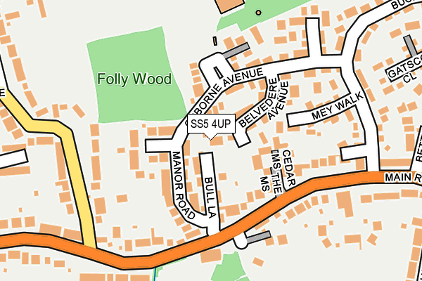 SS5 4UP map - OS OpenMap – Local (Ordnance Survey)