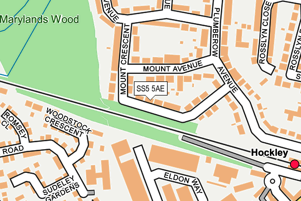 SS5 5AE map - OS OpenMap – Local (Ordnance Survey)
