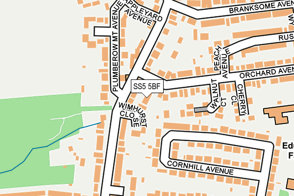 SS5 5BF map - OS OpenMap – Local (Ordnance Survey)