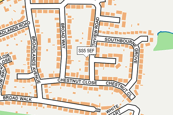 SS5 5EF map - OS OpenMap – Local (Ordnance Survey)