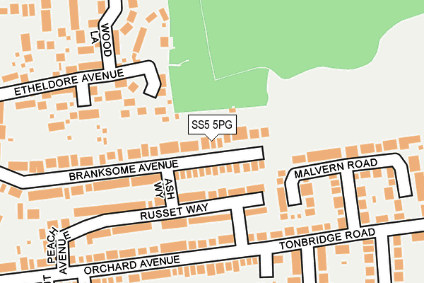 SS5 5PG map - OS OpenMap – Local (Ordnance Survey)