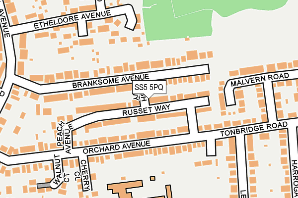 SS5 5PQ map - OS OpenMap – Local (Ordnance Survey)