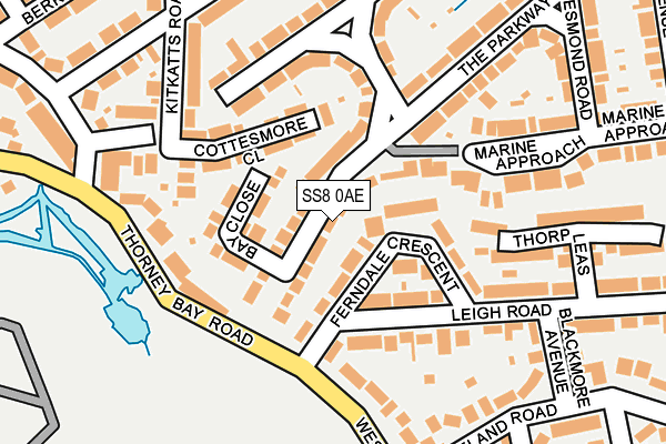 SS8 0AE map - OS OpenMap – Local (Ordnance Survey)