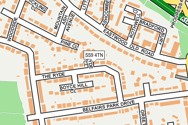SS9 4TN map - OS OpenMap – Local (Ordnance Survey)