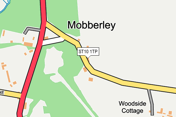 ST10 1TP map - OS OpenMap – Local (Ordnance Survey)