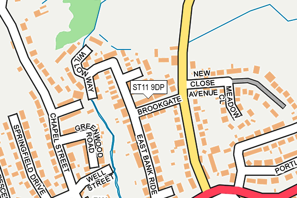 ST11 9DP map - OS OpenMap – Local (Ordnance Survey)