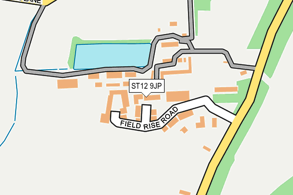 ST12 9JP map - OS OpenMap – Local (Ordnance Survey)