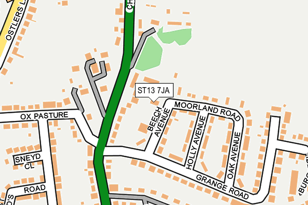 ST13 7JA map - OS OpenMap – Local (Ordnance Survey)