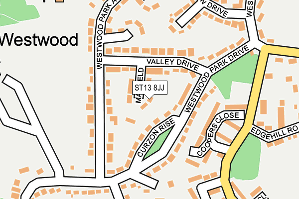 ST13 8JJ map - OS OpenMap – Local (Ordnance Survey)