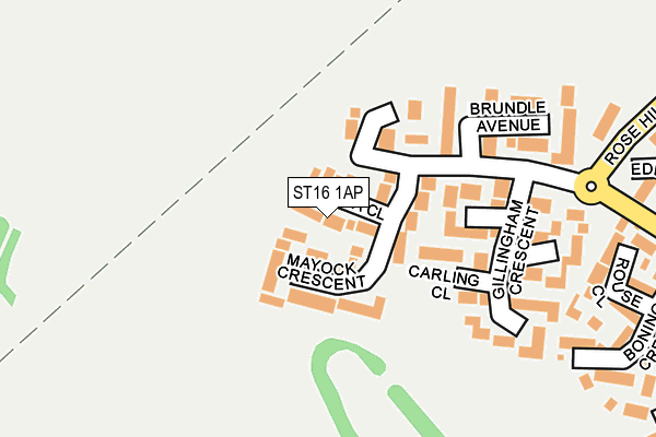 ST16 1AP map - OS OpenMap – Local (Ordnance Survey)