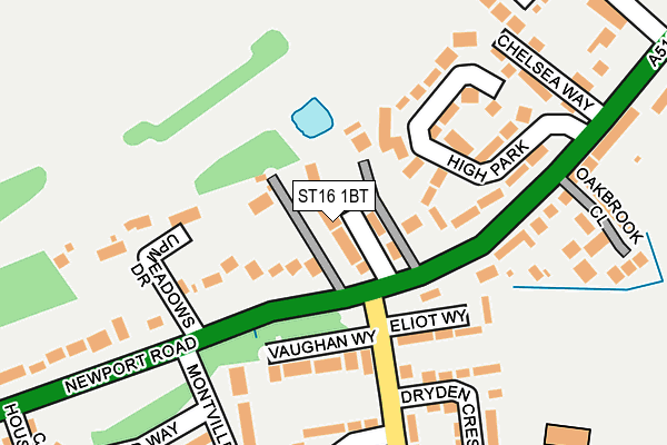 ST16 1BT map - OS OpenMap – Local (Ordnance Survey)