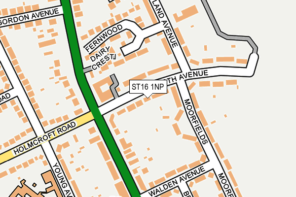 ST16 1NP map - OS OpenMap – Local (Ordnance Survey)