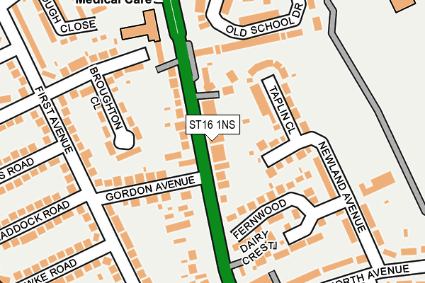 ST16 1NS map - OS OpenMap – Local (Ordnance Survey)
