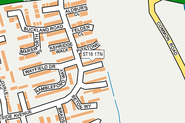 ST16 1TN map - OS OpenMap – Local (Ordnance Survey)