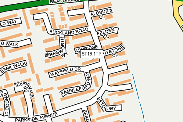 ST16 1TP map - OS OpenMap – Local (Ordnance Survey)